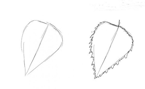 Рисование лист березы