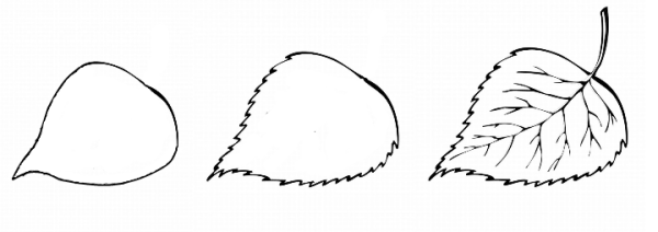 Рисование лист березы