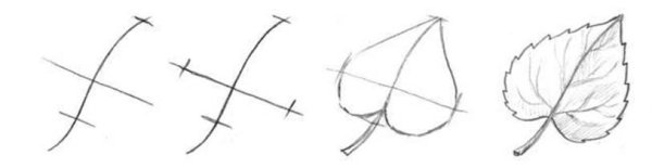 Поэтапное рисование листьев березы