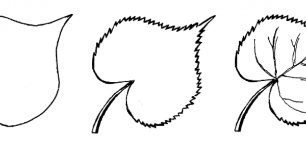 Лист липы трафарет