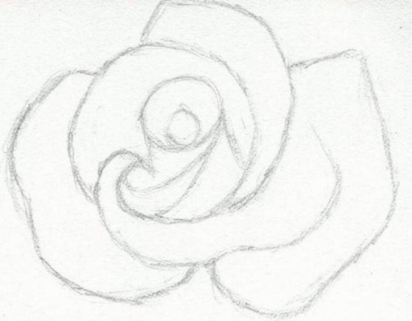 Роза рисунок карандашом для срисовки для начинающих