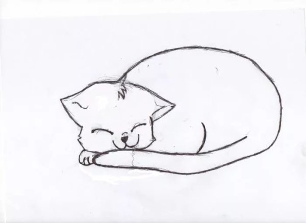 Кошечка рисунок легко и красиво