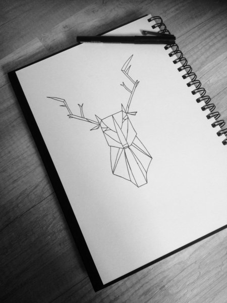 Красивые рисунки на бумаге