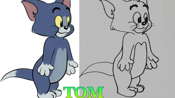 Раскраска для детей Disney Tom Jerry