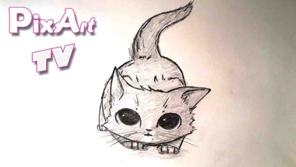 Рисунки для срисовки кошки милые