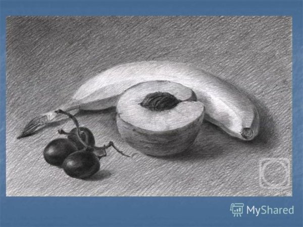 Натюрморт карандашом для начинающих