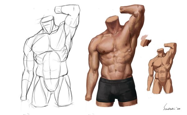 Торс ракурсы