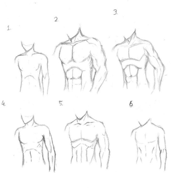 Мужской торс для рисования