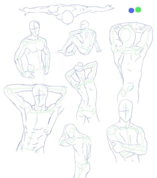 Мускулы для рисования