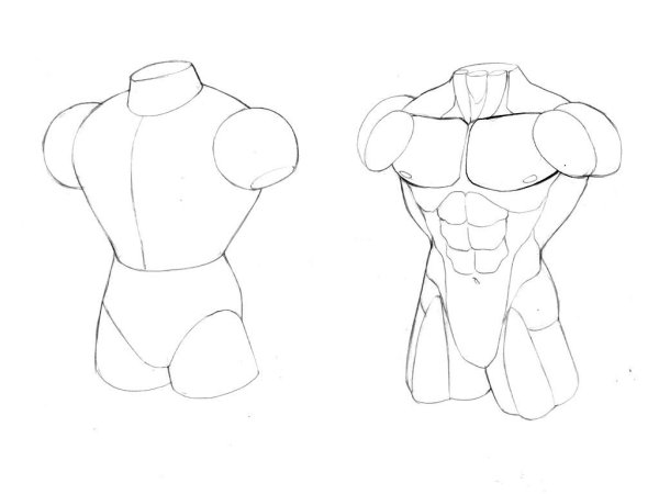 Схема рисования торса