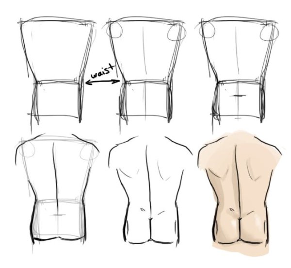 Аниме торс рисовать