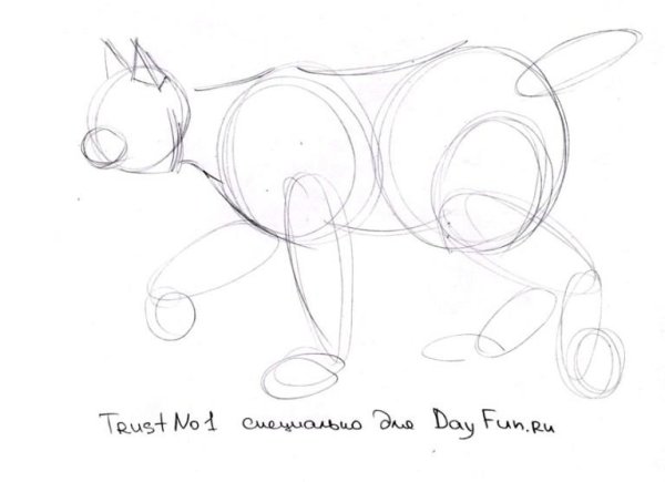 Рысь рисунок пошагово