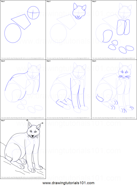 Рисование для дошкольников Рысь