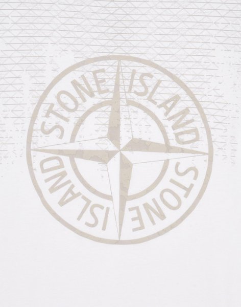 Роза ветров Stone Island
