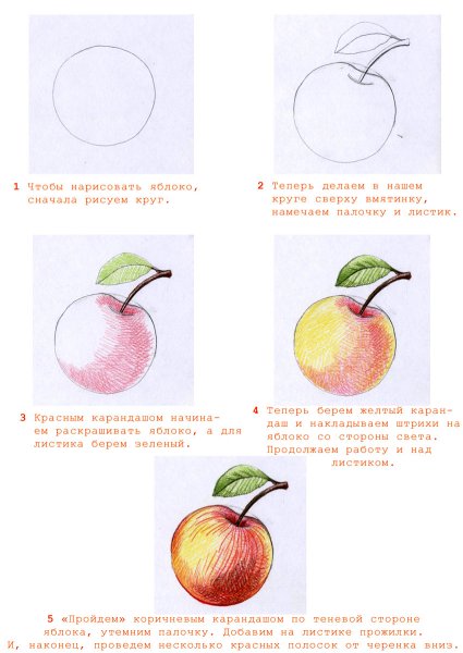 Поэтапное рисование яблока