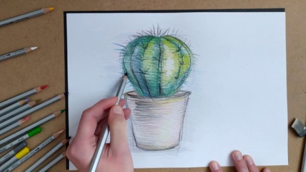 Поэтапный рисунок цветными карандашами