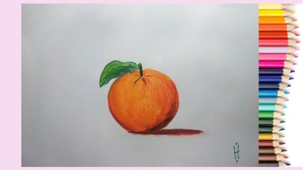 Рисунок цветными карандашами для начинающих