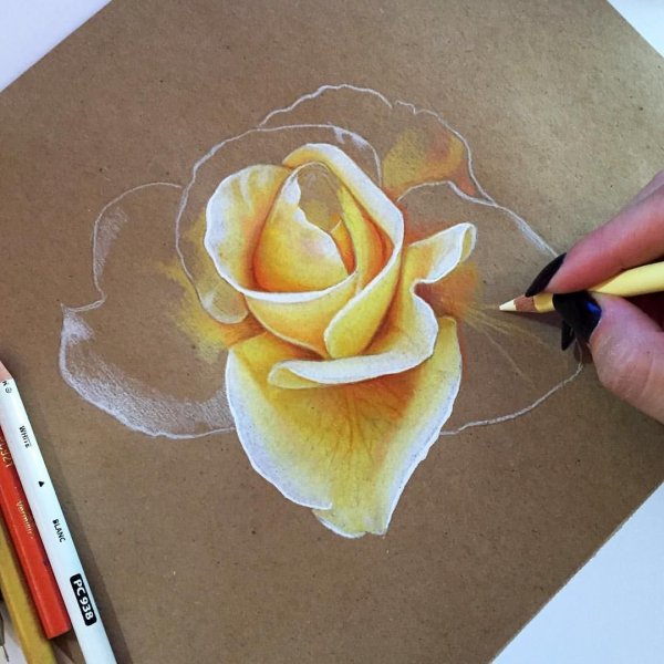 Реалистичные рисунки цветными карандашами