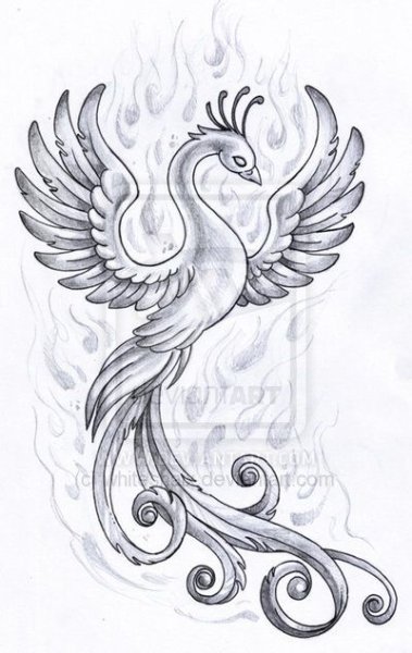 Эскиз сказочной птицы