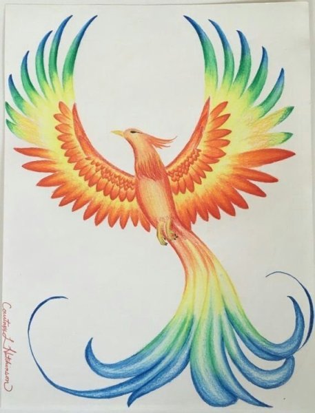 Сказочная птица карандашом