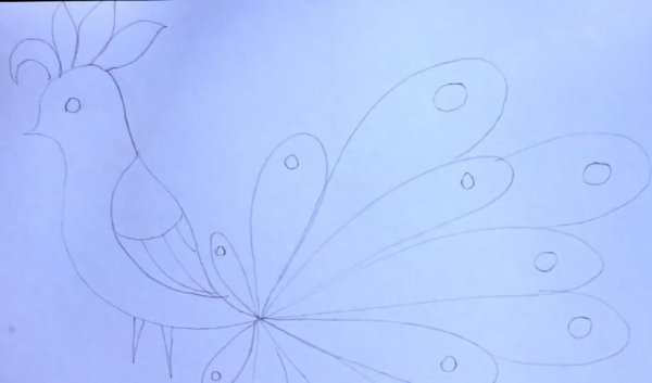 Рисунки Жар птицы для срисовки