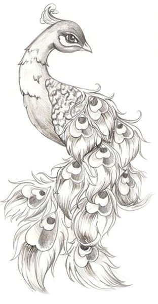 Рисование Сказочная птица