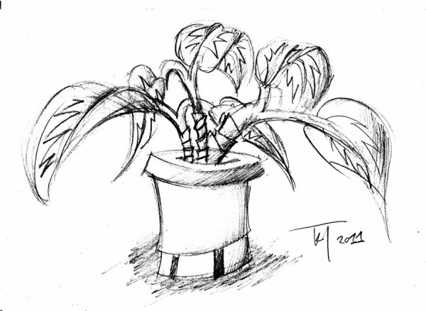 Натюрморт с кактусом