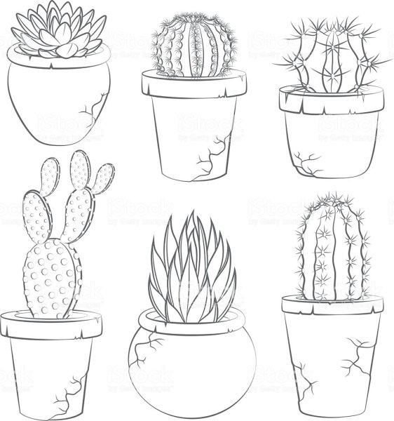 Цветок в графике натура