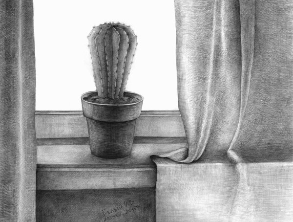 Рисование цветов для детей