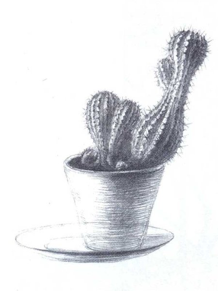 Нарисовать комнатное растение фиалка