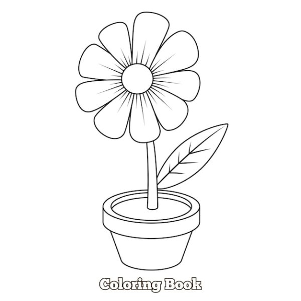 Наброски растений в горшке