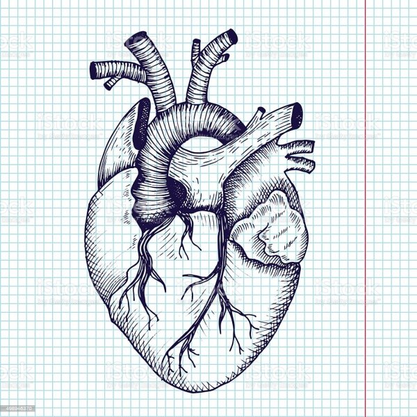 Рисунки для срисовки сердце