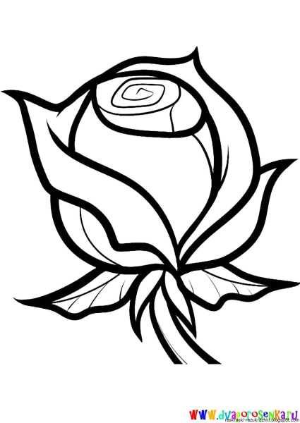 Роза раскраска