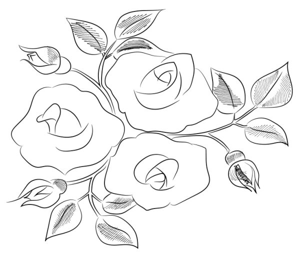 Как нарисовать розу