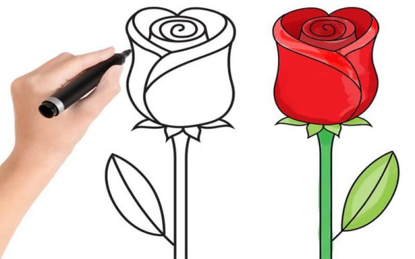 Роза рисунок легкий для детей