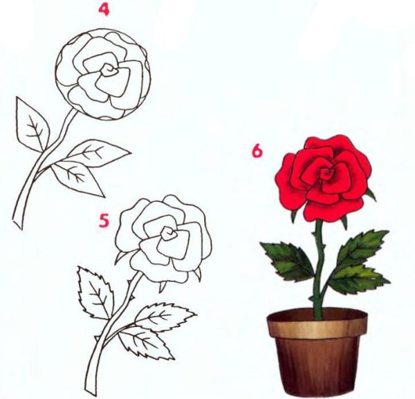 Рисование цветов