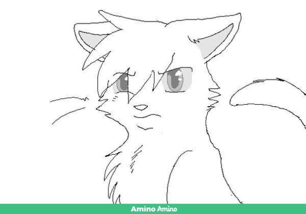 Коты Воители для срисовки