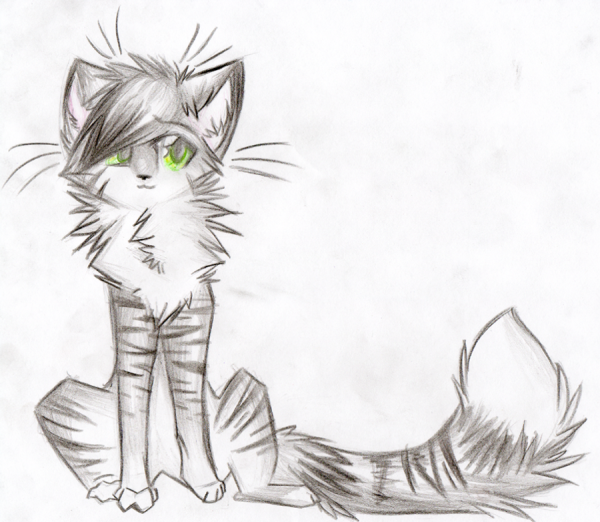 Коты Воители арты для срисовки