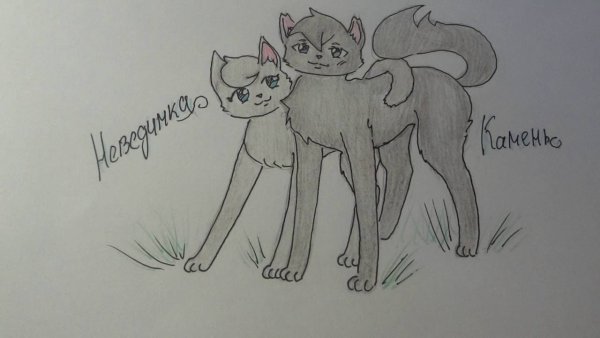 Коты Воители рисунки карандашом