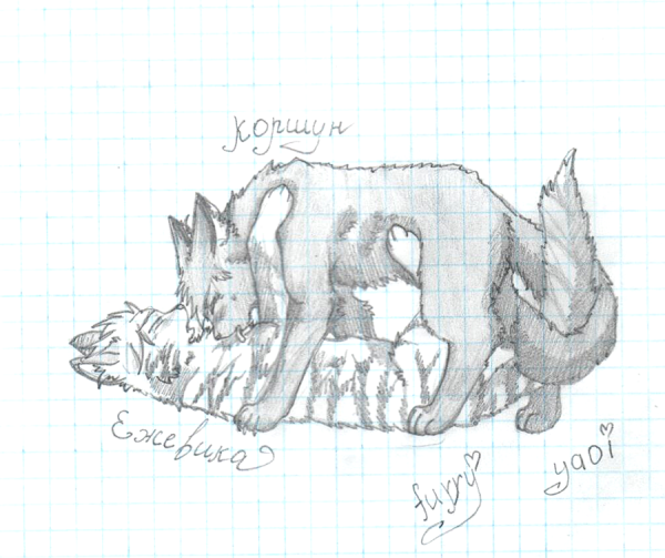 Коты Воители рисунки карандашом