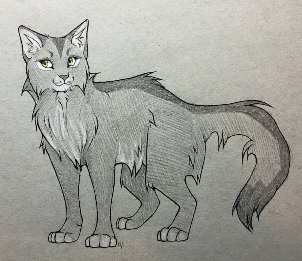 Коты Воители персонажи Крутобок