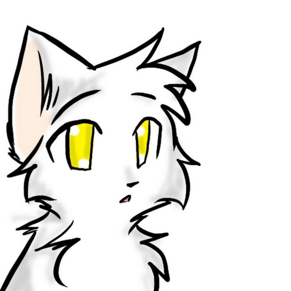 Коты Воители для срисовки