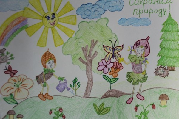 Эколята защитники первоцветов