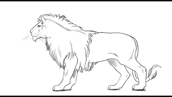 Л толстой Лев и собачка