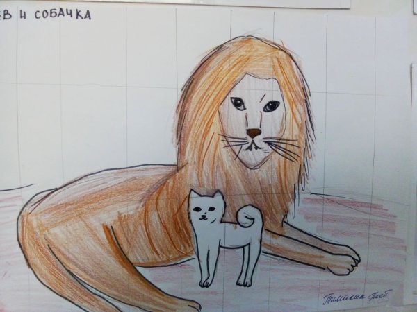 Уроки рисования карандашом Льва
