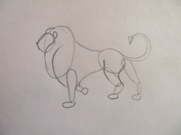 Детская раскраска Лев и собачка