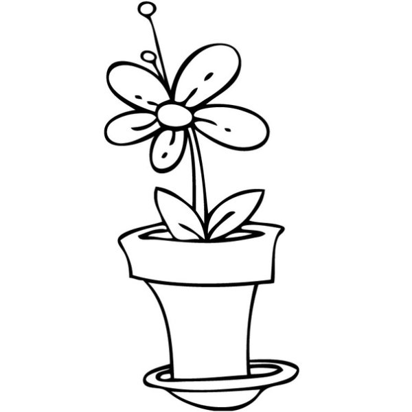 Цветок в горшке раскраска