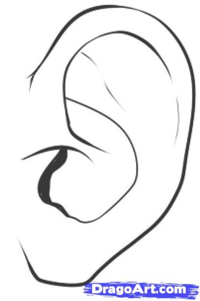 Ухо рисунок карандашом для детей