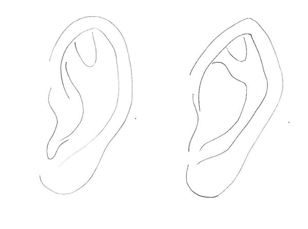 Женское ухо рисунок
