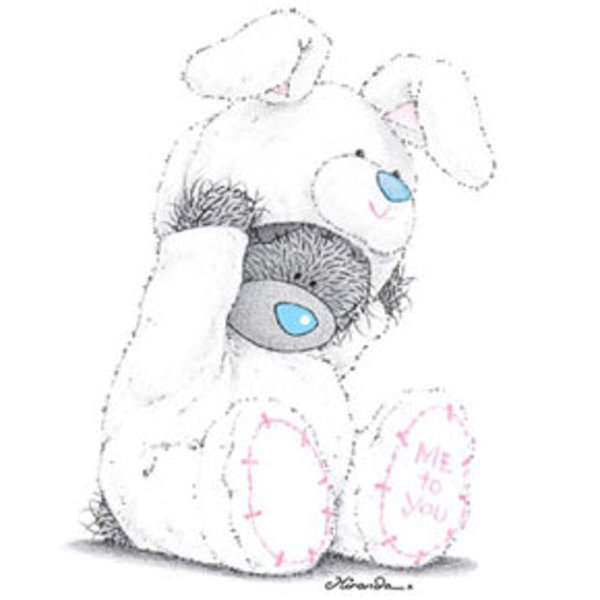 Мишка Тедди картинки для срисовки
